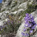 βιοκλιματικο ηλιοπετροσπιτο στην αρχαια βοκερια