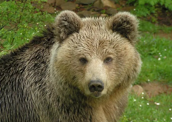 Βιοκλιματικο Ηλιοπετροσπιτο Στην Αρχαια Βοκερια * Peraia (Pella)