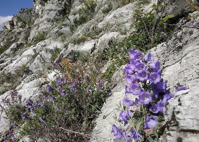 Βιοκλιματικο Ηλιοπετροσπιτο Στην Αρχαια Βοκερια